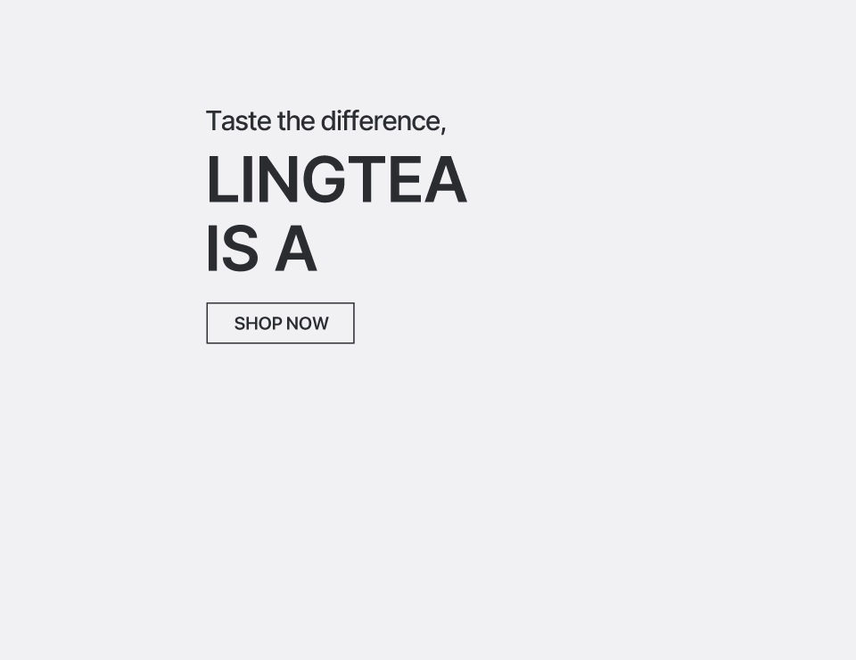 LINGTEA Official Shop - Best hydration powder for rehydration