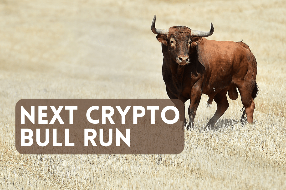What Will Spark the Next Crypto Bull Run?
