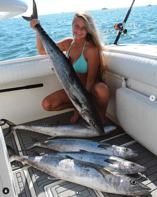 ballyhoo fishing