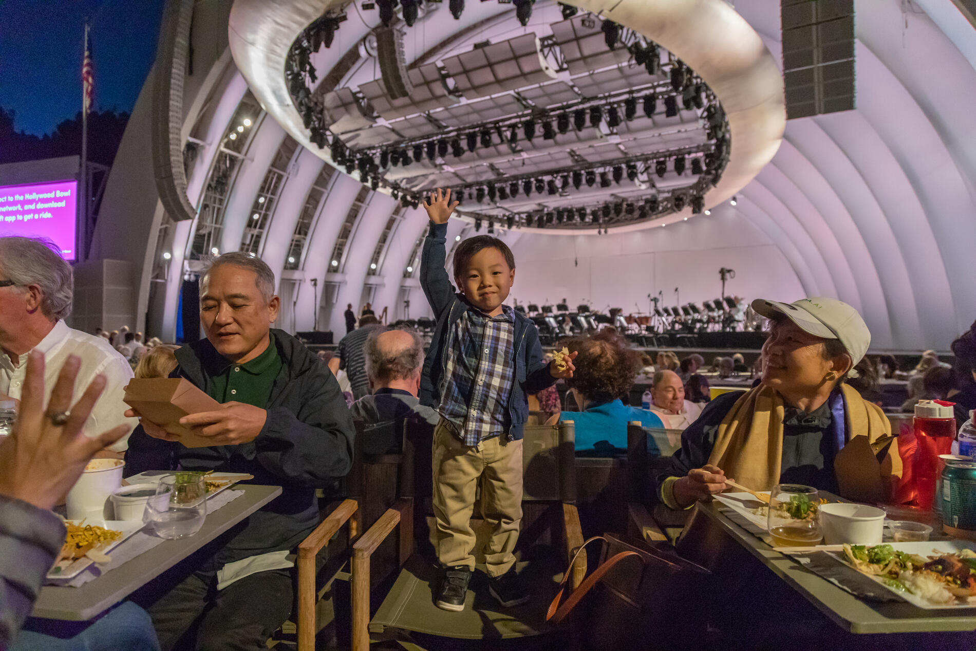 Hollywood Bowl Seating Charts