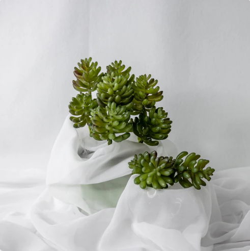 Stone Lotus Succulent (6 Pack) - Realistic Artificial Flowers and Greenery