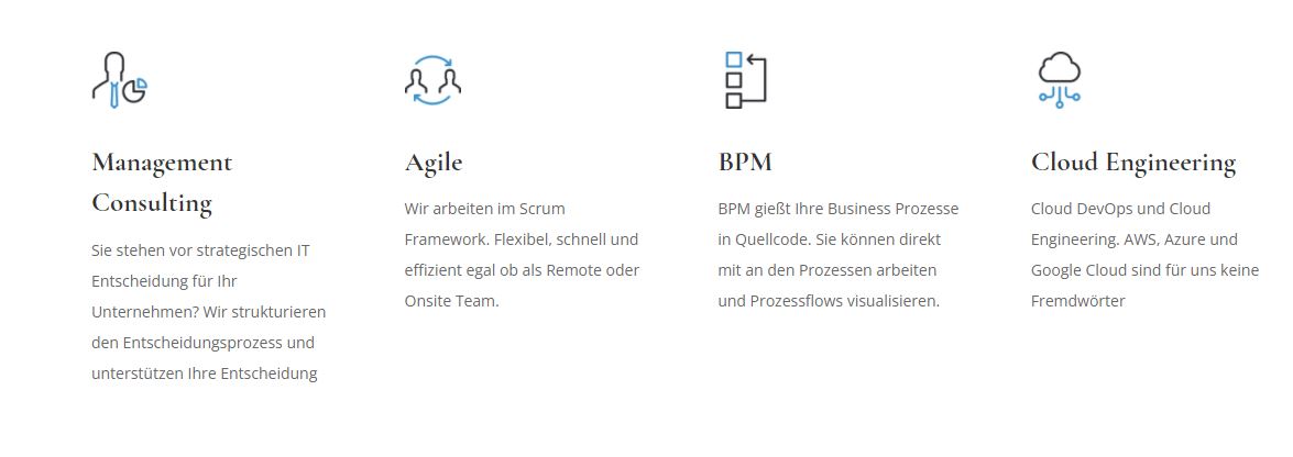 iits-consulting product / service