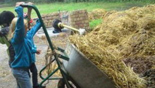 die reitzwerge kinder helfen auf dem hof