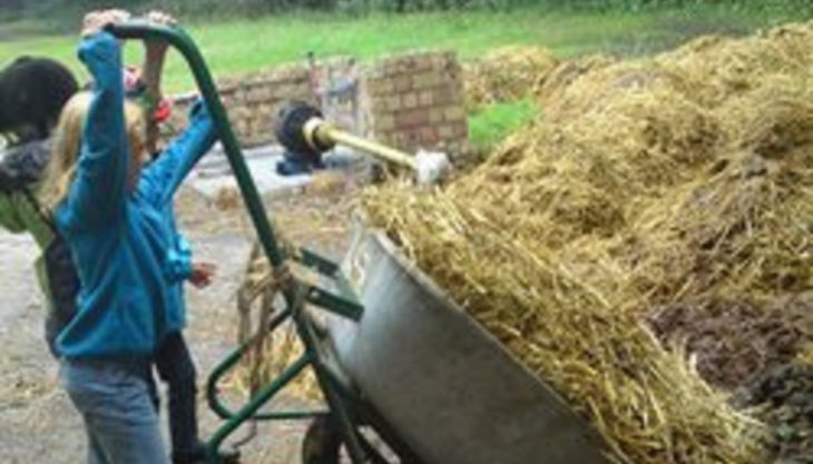 die reitzwerge kinder helfen auf dem hof