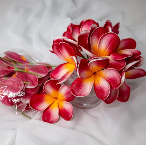 Red Orange Frangipani Flowerhead ( 6 Pack ) - Realistic Artificial Flowers - Image 2
