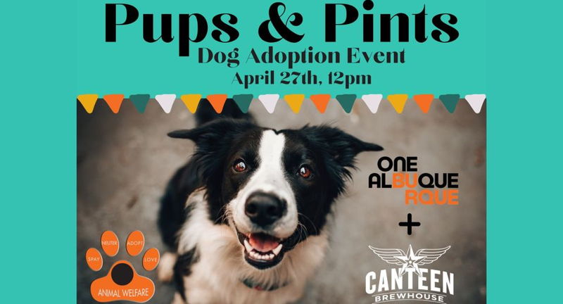 Pups & Pints: A Dog Adoption Event