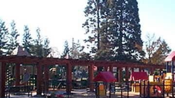Main Content Image