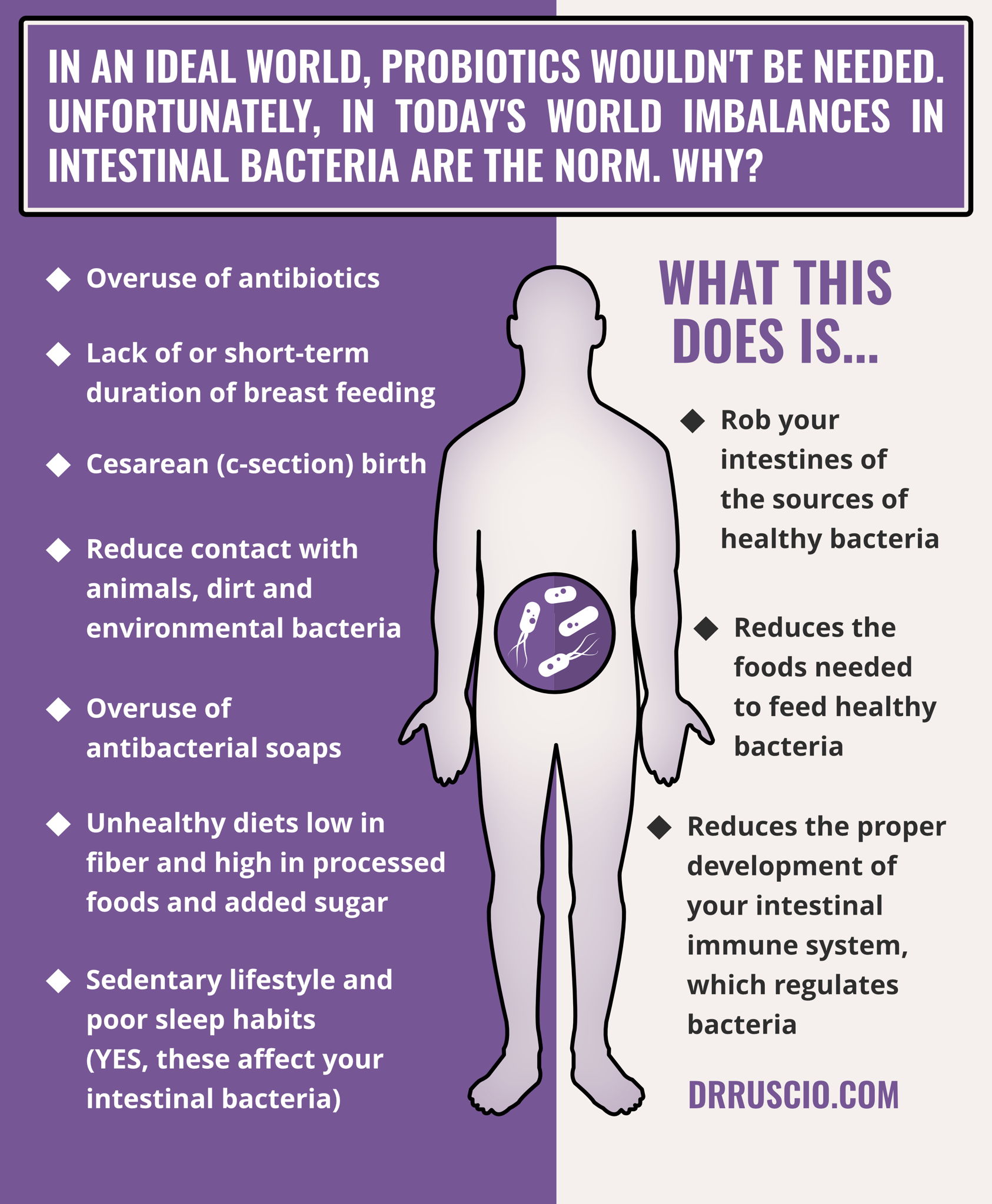 Why Probiotics Are Important & A Simple Protocol To Get Started -