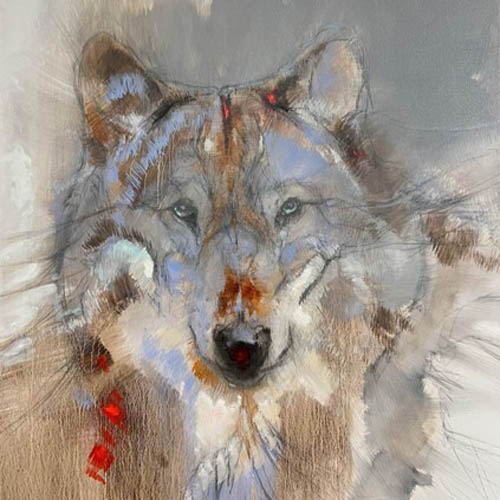 Amy Lay
