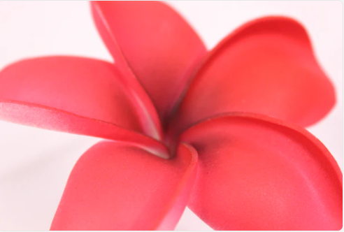 Passion Red Frangipani Real Touch Frangipani Real Touch (6 Pack) - Realistic Artifical Flowers - Image 3