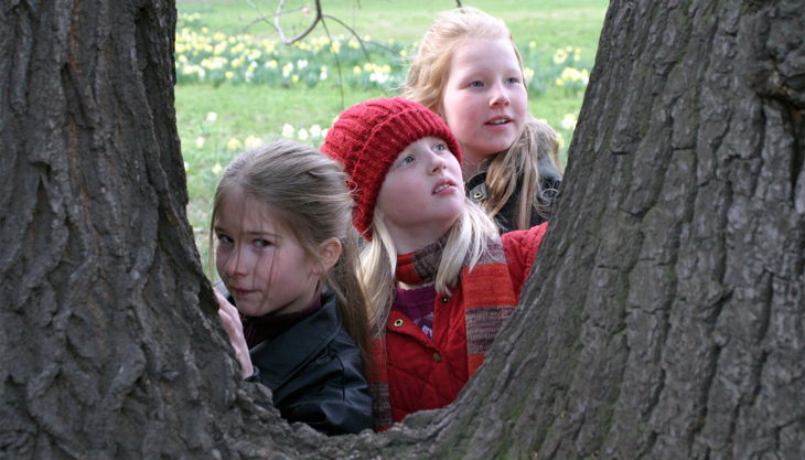 dresdner stadtindianer