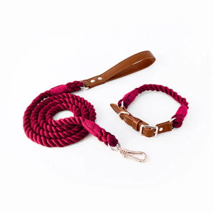 Wine Red Premium Leather Pet Collar and Leash - Soft, Strong Braided Rope