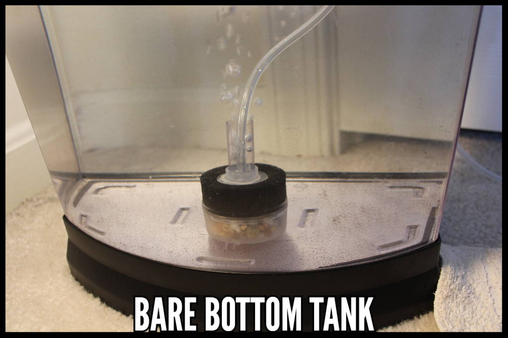 Best Substrate, Bare Bottom Tank