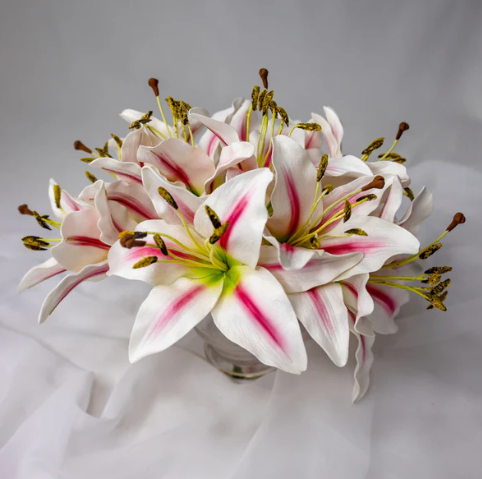 White/Pink Stripe Asiatic Lily Flowerhead - Realistic Artificial Flowers - Image 4