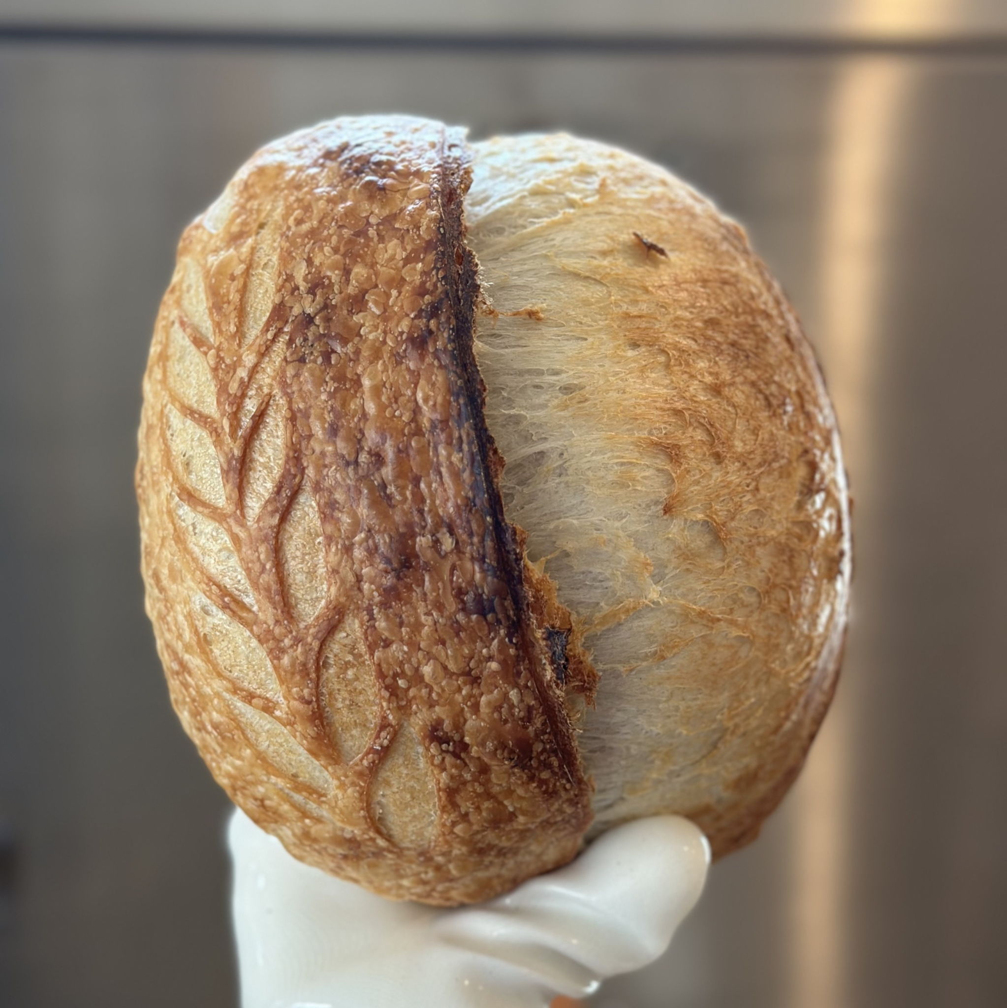 Katie | Hillside Dough Co. 🥖🌾 — photo from hotplate.com