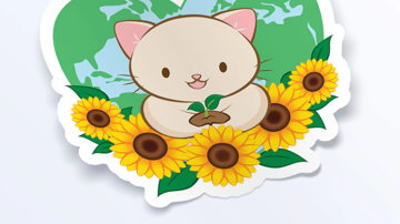 Main Content Image