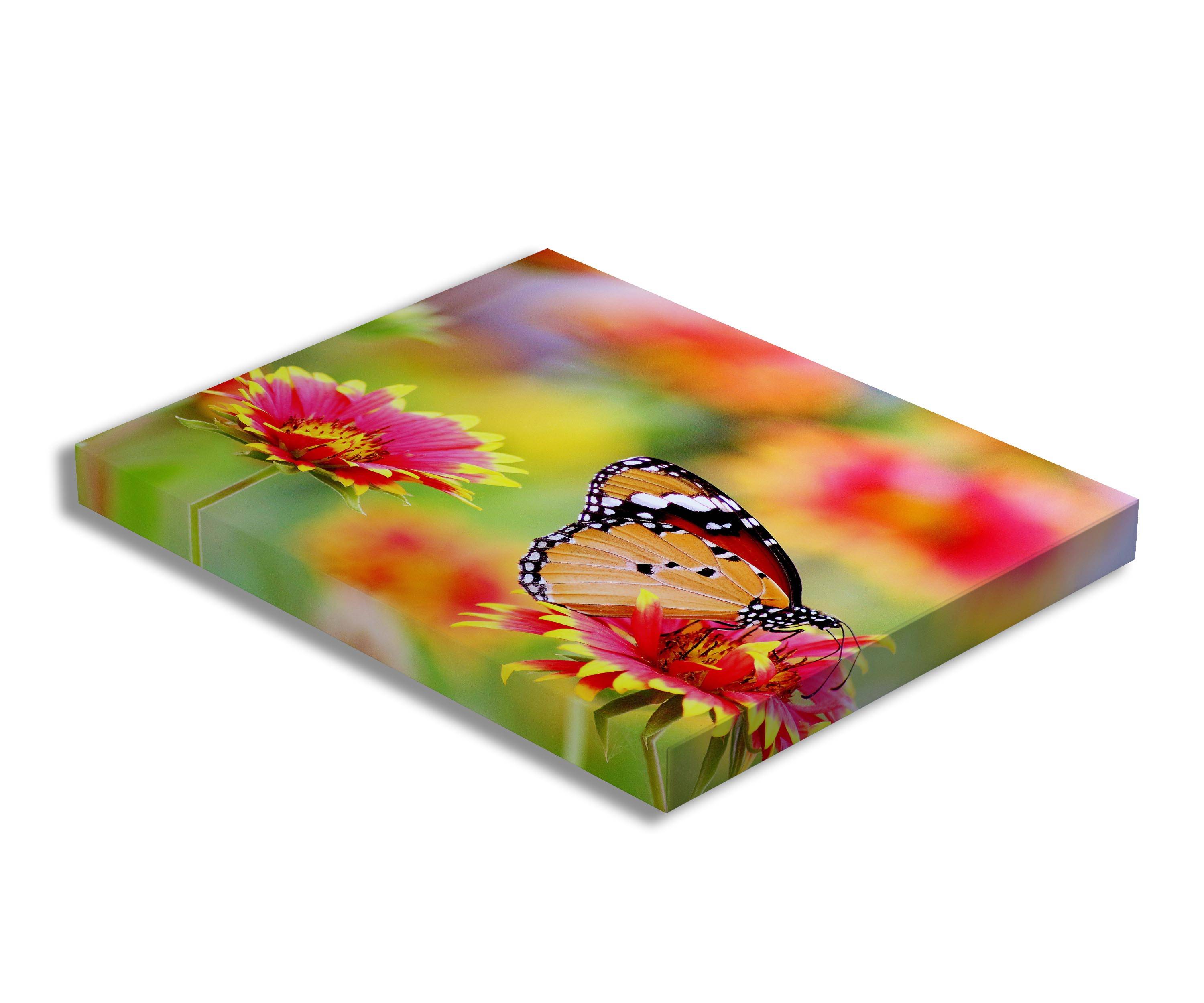 Nature Prints On Canvas