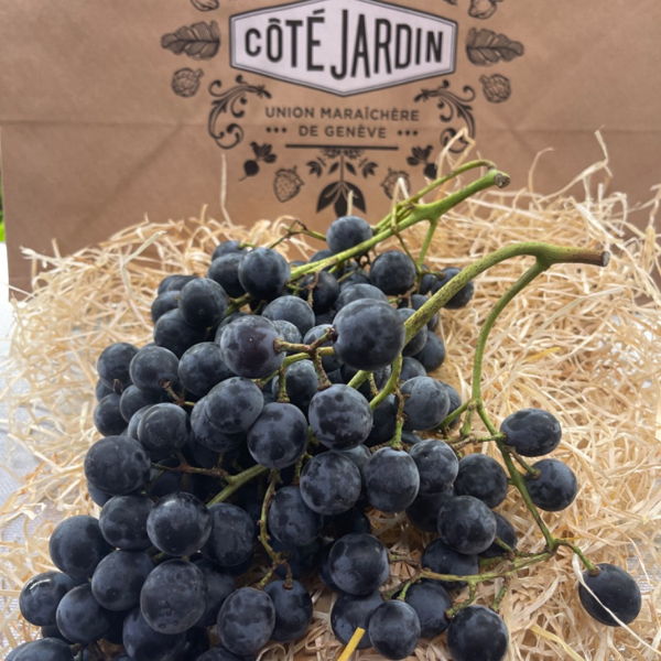 raisin-palatinat