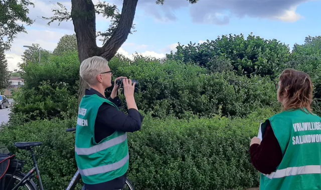 Een Soortenmanagementplan opstellen met behulp van vrijwilligers in Raalte en Olst-Wijhe