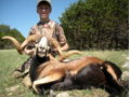 Corsican Ram Hunt for Two in Texas
