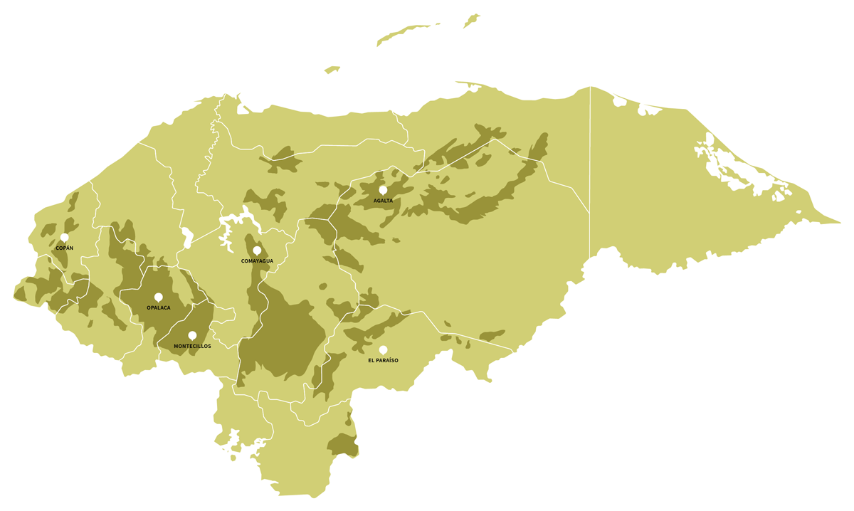 map from honduras with all coffee producing regions