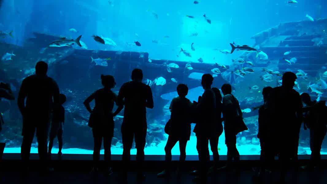 Antalya Aquarium - photo 3