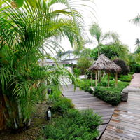 tc-concept-design-asian-modern-malaysia-kedah-exterior-garden-interior-design