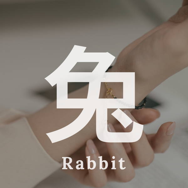 生肖兔