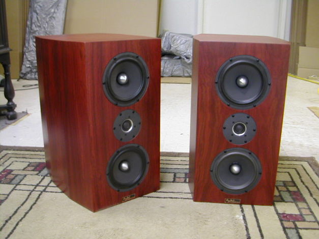 Tyler Acoustics custom monitors in bloodwood! trade ins