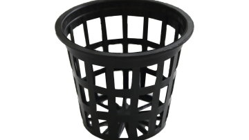 Main Content Image