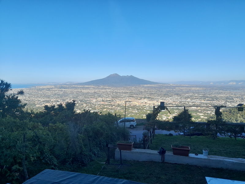 Tour enogastronomici Angri: Un giardino,mille sapori : vista Vesuvio 