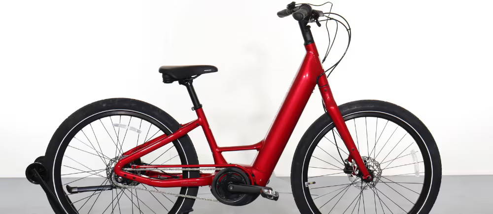 Momentum Vida E+ Low-Step