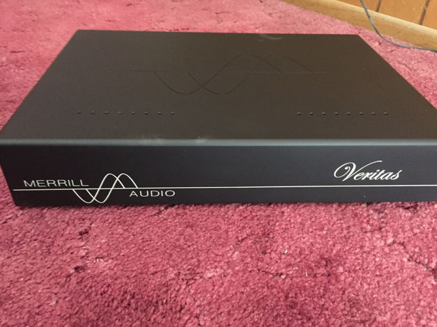 Merrill Audio Veritas mono power amps