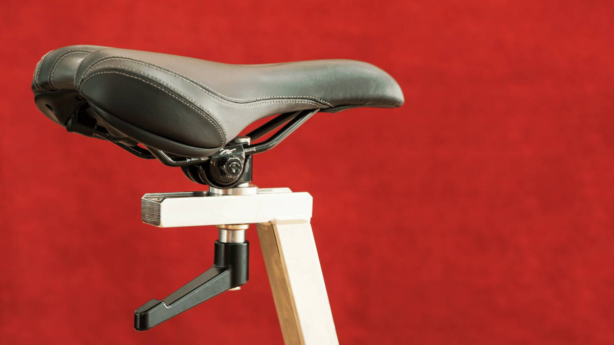 elektrische fiets zadel