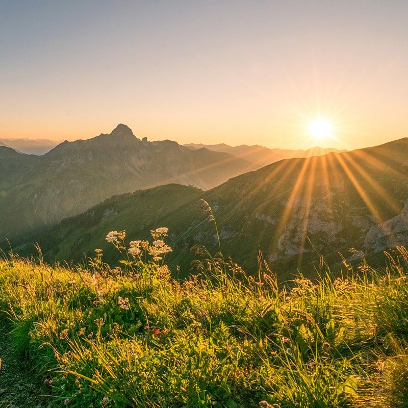Biken und vieles mehr im Bregenzerwald erleben