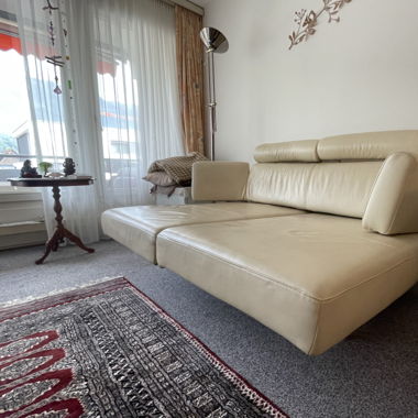 Wohnzimmer-Sofa