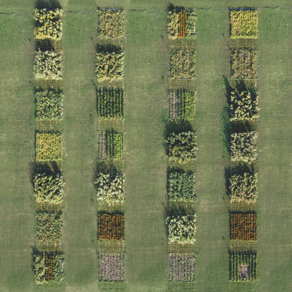 gem pages image