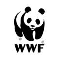 ROOM IN A BOX - Thursdays for Future Spende an den WWF