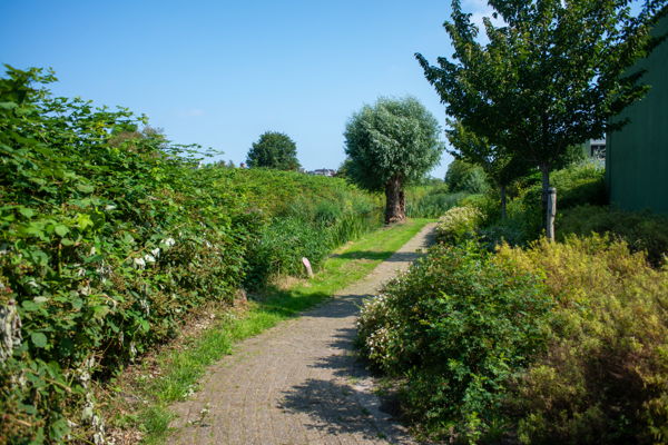 Foto bij Foto bij