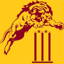 West Newport CC logo