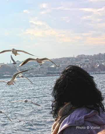 A Bosphorus Strait cruise in Istanbul with tea