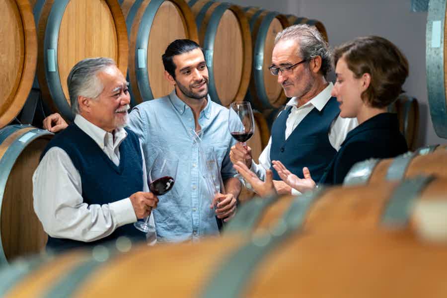 Czech Vineyards and Wine Tasting 4WD Tour with Lunch - photo 6