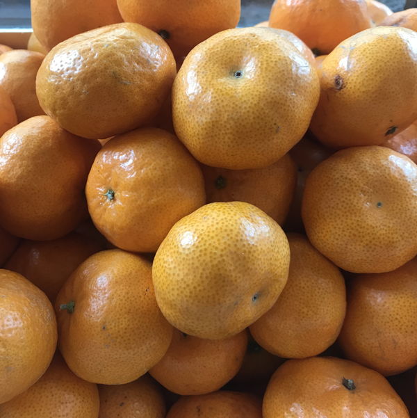 mandarine-bio-italie