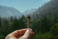 Man holding joint in front of beautiful landscape 