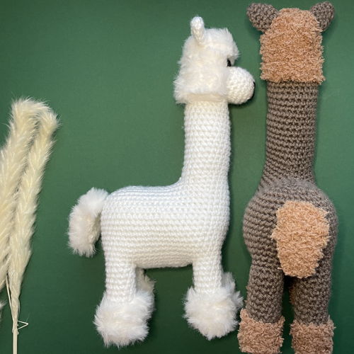 Alpaca