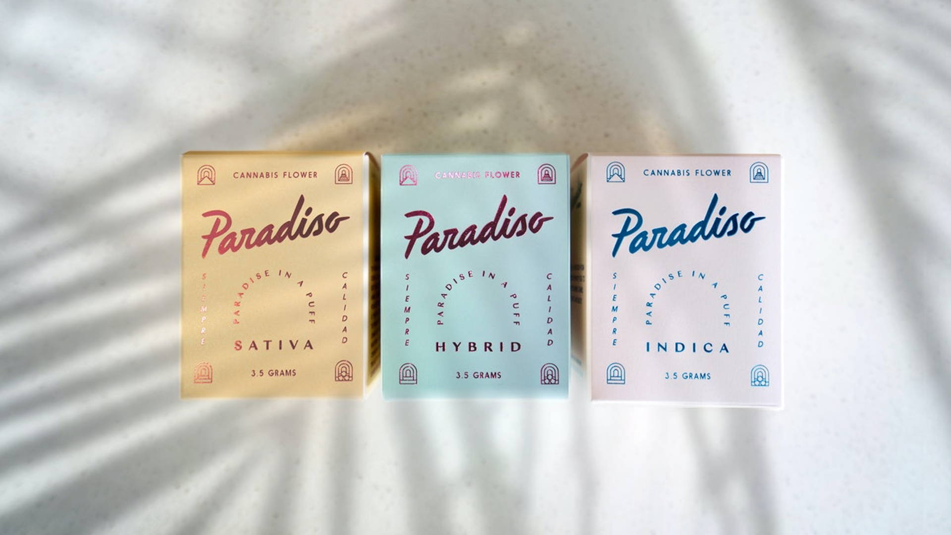 Featured image for Paradiso Radiates Vacation Vibes