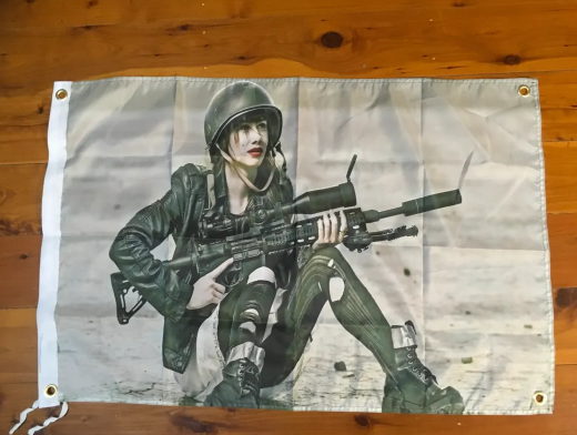 Army. Sniper. War art. Rifle. Gun. Mancave Idea