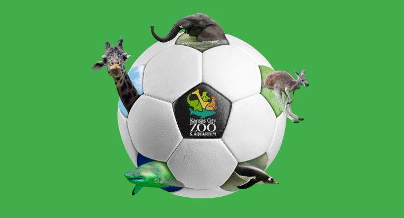 Kick It at the Zoo Days