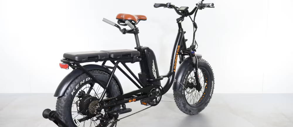 Rear tier of a electric fat bike