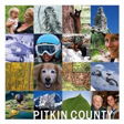 Pitkin County logo on InHerSight
